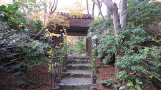 今年も祇王寺の紅葉は見事。