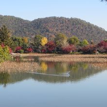 舞台から眺めた大沢池。