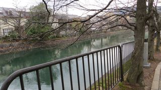 春には桜が咲き誇ります。