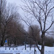 雪景色の並木道