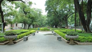 緑が美しい静かな場所