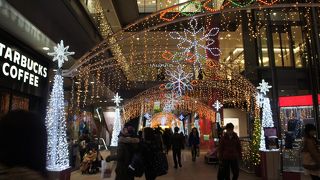 規模は限られますが、光の密度は濃いので、十分にその美しさは堪能できます