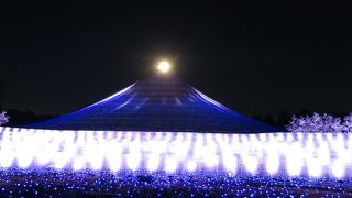 なばなの里 ウィンターイルミネーション 冬華の競演