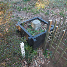 尾根道の途中の浅間山に有る一等三角点