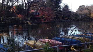 閑静な住宅街の中にあります。