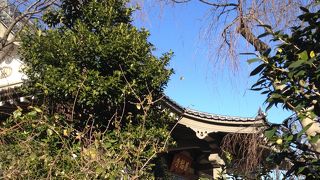 住宅街の小さなお寺