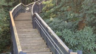 港の見える丘公園に通じる山です