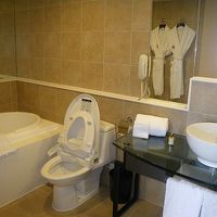 右側にシャワーブースもあり