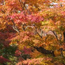 こちらも道路から。