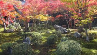 紅葉の季節におすすめ！