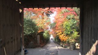 う～ん、特に…