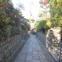 名前の通り、石垣の塀が現れるようになります