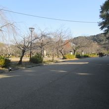 「八坂神社」から公園に入りました…普通です
