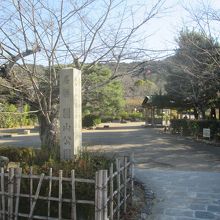 しかし公園中央辺りまで来ると…