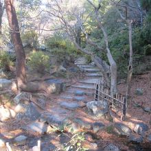 小高い丘が作ってあったり…