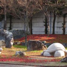 かわいいでしょ