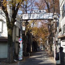 大きなケヤキ通り〜