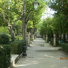 ヤシの木々が出迎えてくれます。