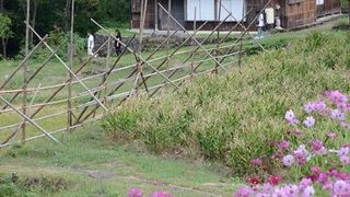 素朴な風情がよく残された隠れ里のような集落