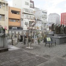 境内に入って見ました