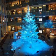何をさしおいても観に行くべき　究極のクリスマスツリー　【WHITE　KITTE/雪のクリスマスツリー】