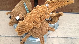 次回は真っ先に訪ねたい！