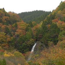 少し脇道を登って行くと「大倉滝」が見られます