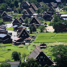 夏も風情があります。