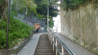 目白の急坂の一つです