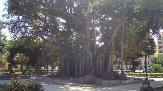 静かな公園です。