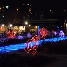 バラ園ではバラや天の川をイメージしたイルミが