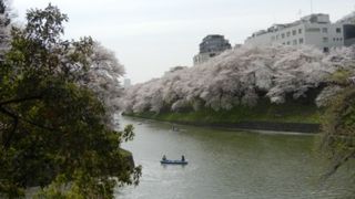 桜の名所