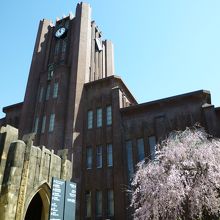 東京大学