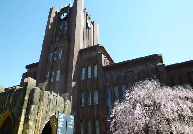 東京大学