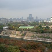 大阪駅から案外近く 四季折々に憩える緑溢れる園