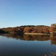 八丁湖の紅葉