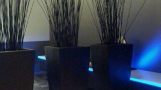 青い光が使われてます