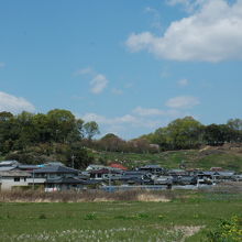 スケールがわかりにくいですが、大きいです