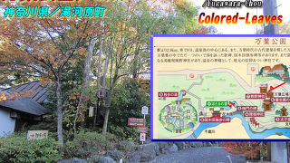 足湯がメイン？