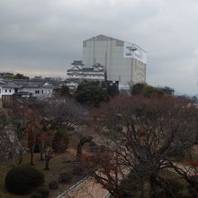 西の丸方面から眺める修理中の大天守