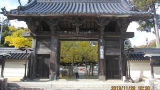 法然さｎを身近に感じました