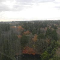 部屋からの眺め。左側が空港です。