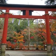 亀岡の紅葉の名所