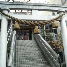 県道沿いから石段を登った先に本殿があります。