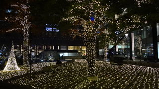 イルミネーションが美しい！