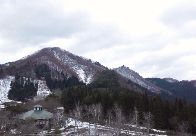 かたまえ山森林公園