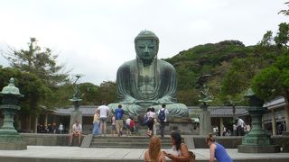 境内がめちゃくちゃ小さい