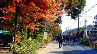 ～ 驛 倉 鎌 北 ～　小津映画「麦秋（1951）」「晩春（1949）」の舞台