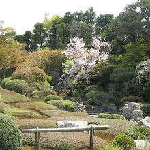 妙心寺対応院、余香苑
