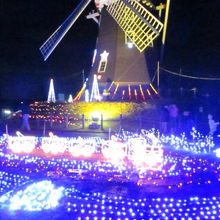 纏めて撮ると豪華です。